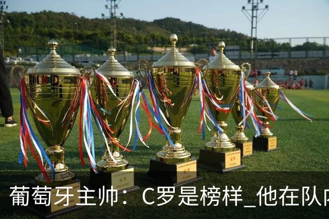 葡萄牙主帅：C罗是榜样 他在队内的重要性像是他首次参加世界杯
